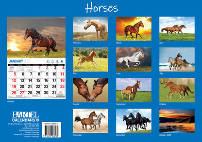 Horses - 2025 Rectangle Wall Calendar 16 Months Animal Planner New Year Gift V474-700422
