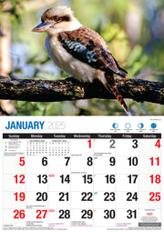 Australian Wildlife - 2025 Rectangle Wall Calendar 16 Months Animal Photography V474-700429