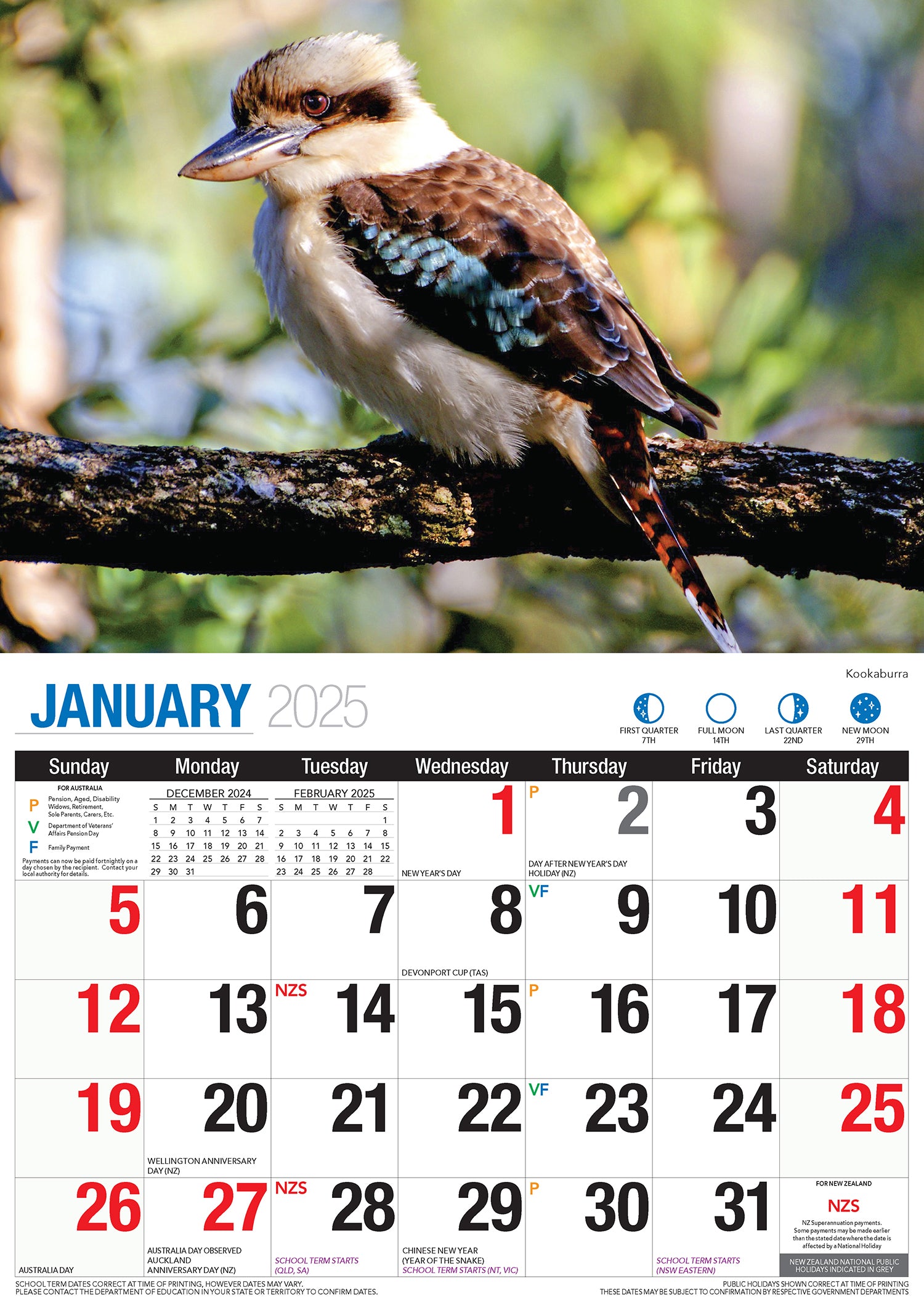 Australian Wildlife - 2025 Rectangle Wall Calendar 16 Months Animal Photography V474-700429