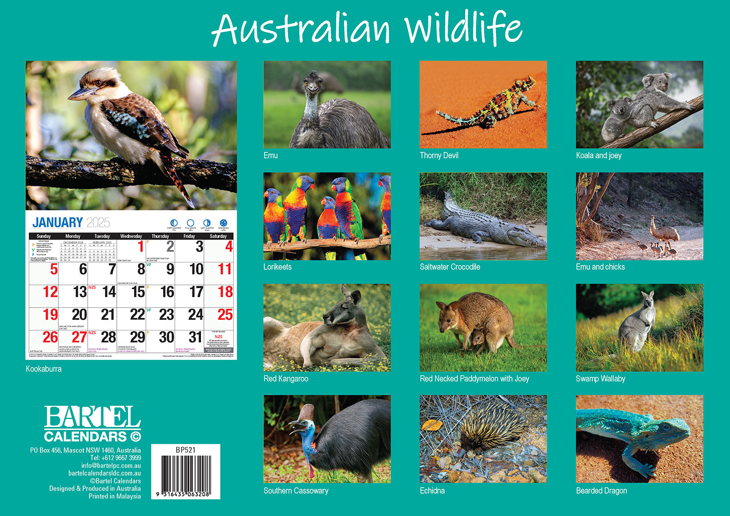 Australian Wildlife - 2025 Rectangle Wall Calendar 16 Months Animal Photography V474-700429