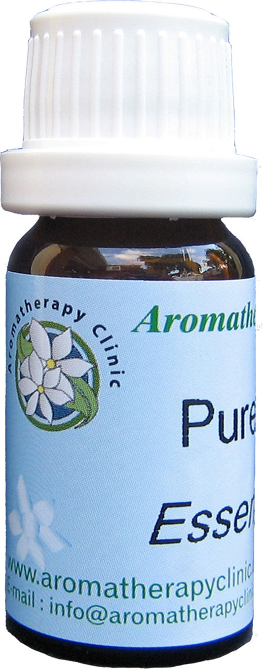 Bergamot Oil V484-BEROIL