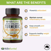 Curcumin Tablets - 95% Pure Organic Vegan - Turmeric Extract Buffered with Black Pepper (1,350mg) - 90 Vegan V497-CURCUMIN-CAPS-90-FBM