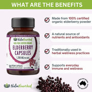 Organic Elderberry Capsules V497-ELDERBERRY-CAPS-90