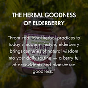Organic Elderberry Capsules V497-ELDERBERRY-CAPS-90