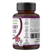 Organic Elderberry Capsules V497-ELDERBERRY-CAPS-90