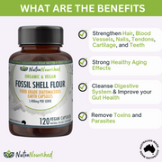 Fossil Shell Flour Capsules (vegan)- Food Grade Diatomaceous Earth 120 caps V497-FSF-CAPS-120