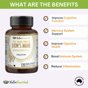 Lion's Mane Mushroom Hericium erinaceus (2,000mg) 120 Vegan Capsules V497-LIONSMANE_CAPS_120