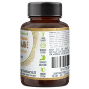 Lion's Mane Mushroom Hericium erinaceus (2,000mg) 120 Vegan Capsules V497-LIONSMANE_CAPS_120