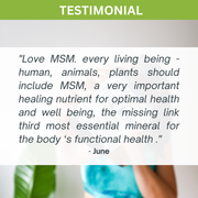 Pure MSM Capsules - Methyl Sulfonyl Methane - (660mg), 60 Vegan Capsules/1 Month V497-MSM-CAPS-60