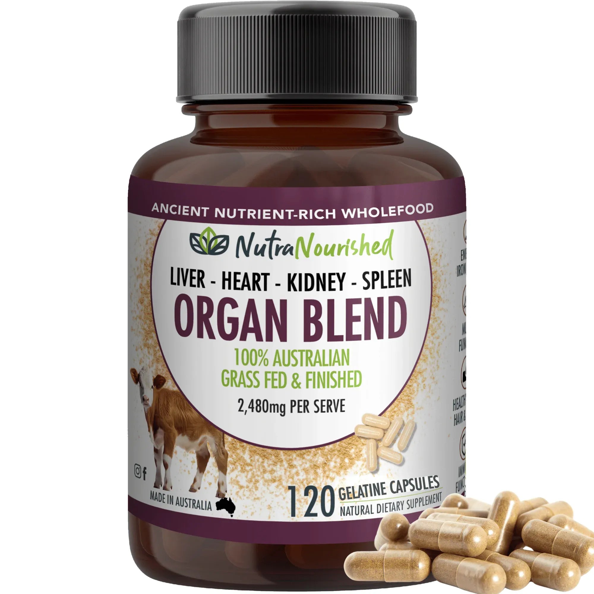Organ Blend Capsules V497-ORGAN-BLEND-CAPS-120