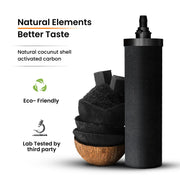 Phoenix Smart Carbon Cartridges V502-PQ-SZDM-ZQT1