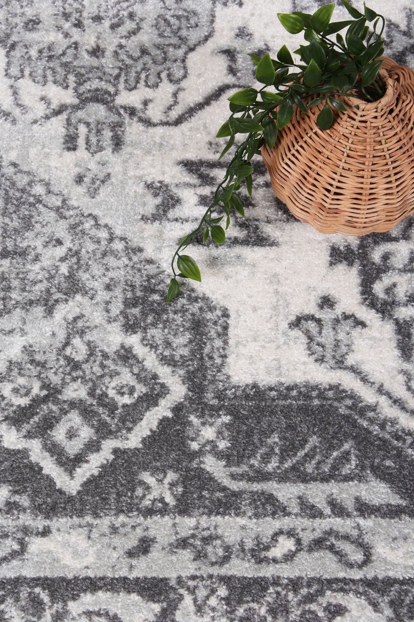 Provence Prov03 Cream/L.Grey 240x330 V516-PROV24003