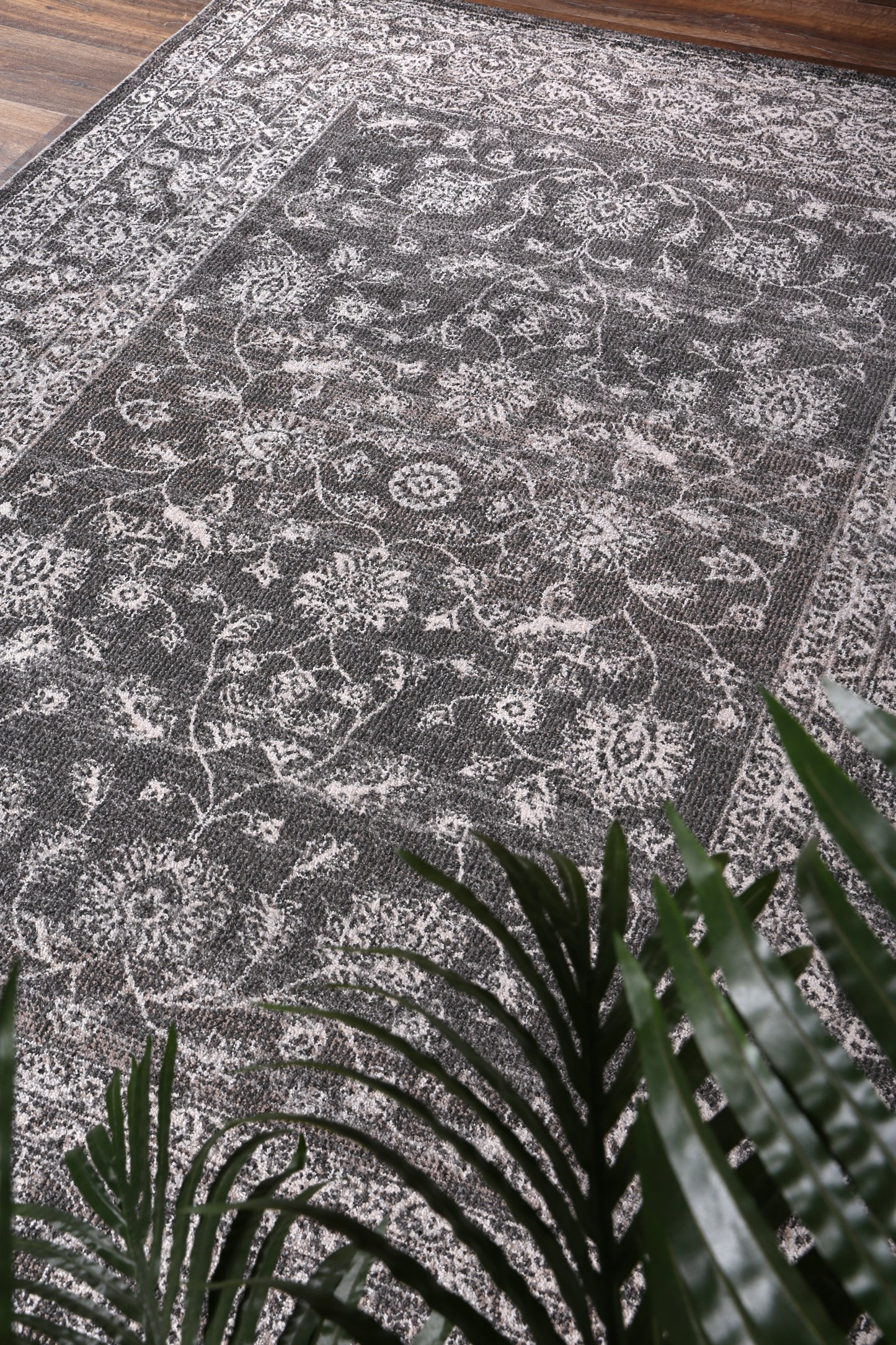 salsa-dorian-grey-transitional-rug 160x230 V516-SALS16012
