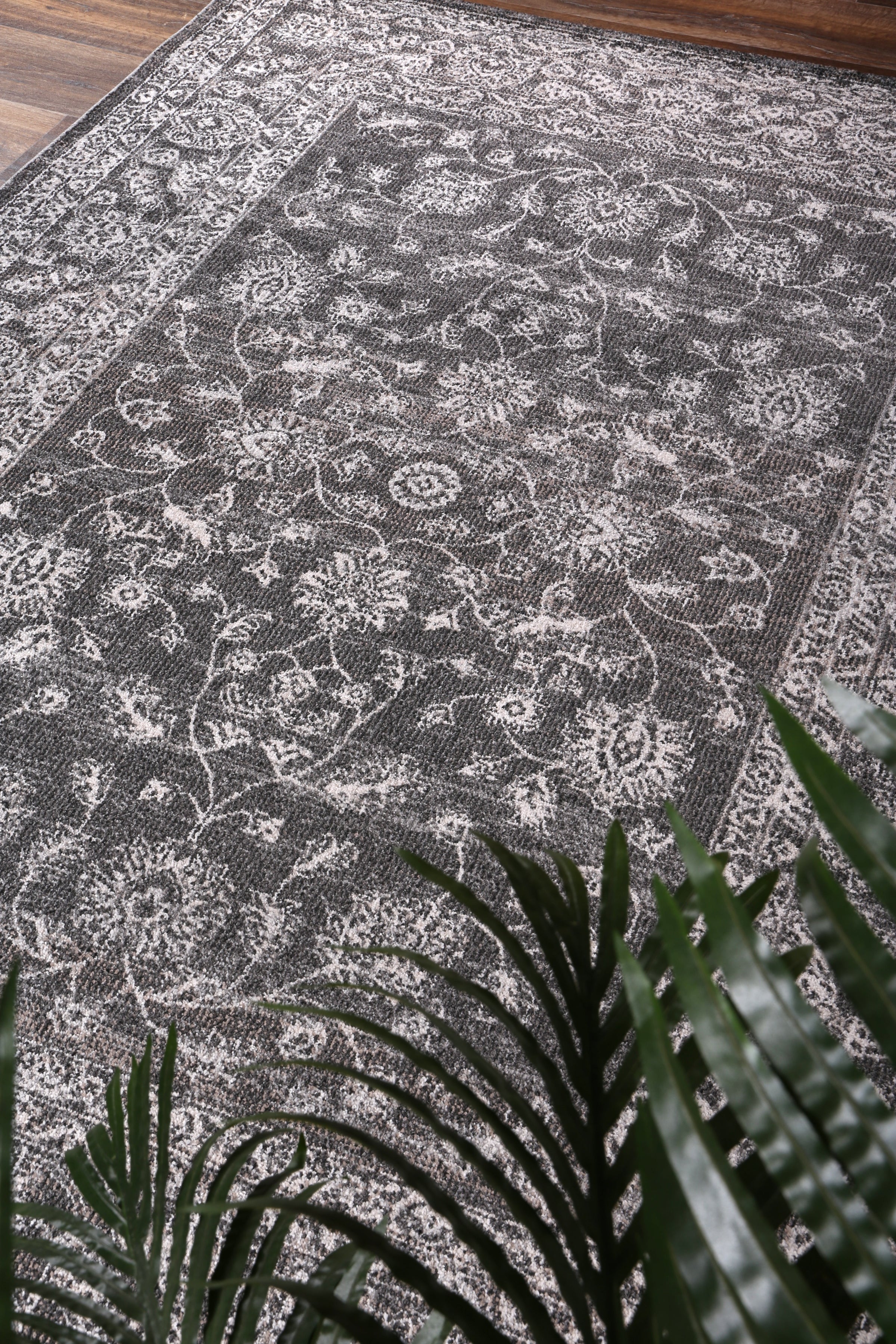 salsa-dorian-grey-transitional-rug 160x230 V516-SALS16012