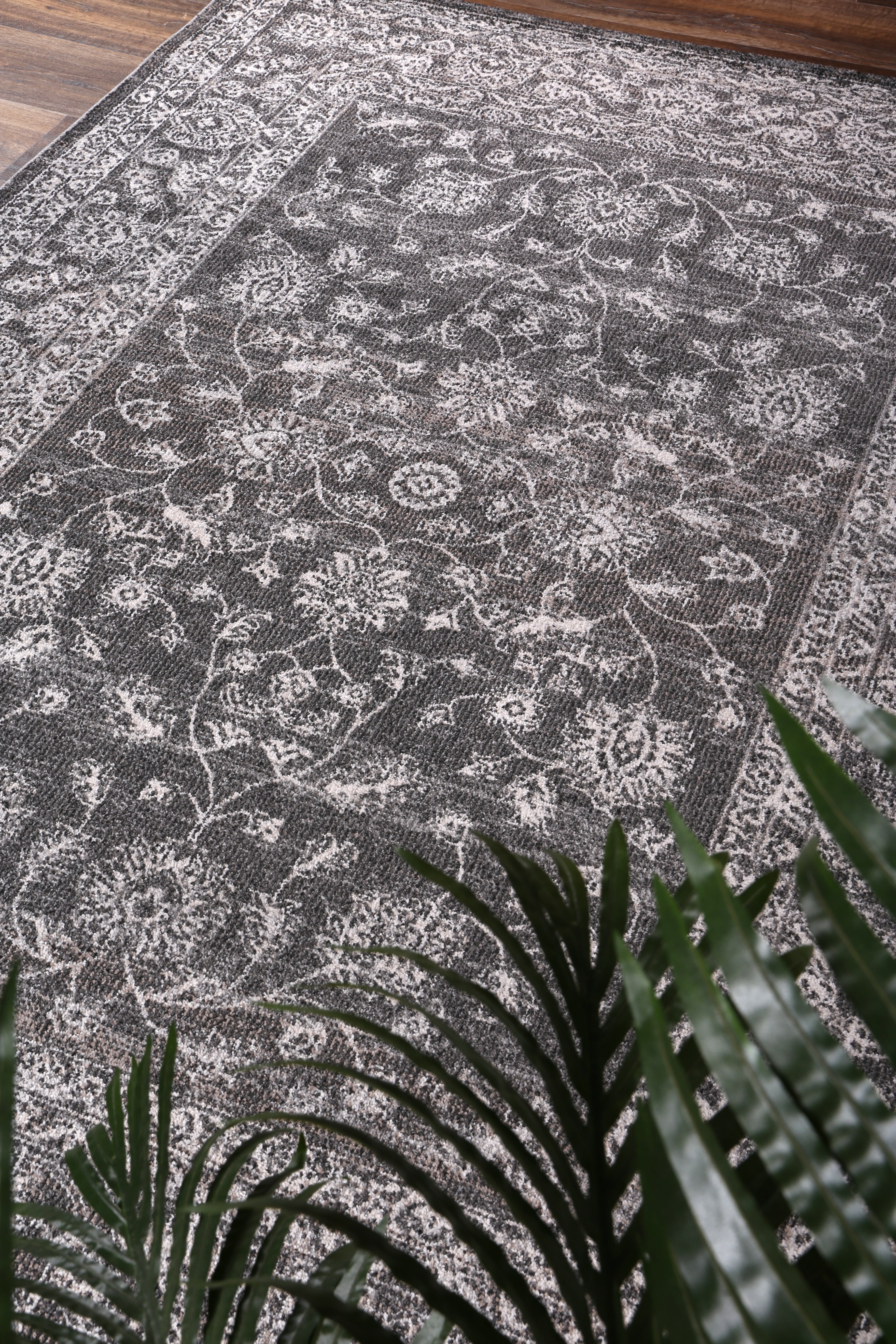 salsa-dorian-grey-transitional-rug 160x230 V516-SALS16012