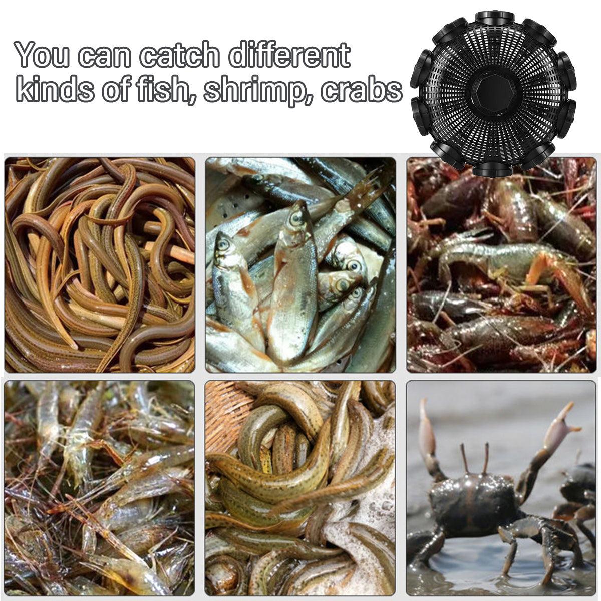 10Hole Eel Fishing Trap Cage Loach Fish Shrimp Net Folding Portable Catch Basket V528-10-HOLE-FISHING-CAGE-197725