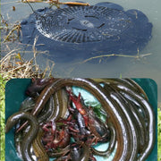 10Hole Eel Fishing Trap Cage Loach Fish Shrimp Net Folding Portable Catch Basket V528-10-HOLE-FISHING-CAGE-197725