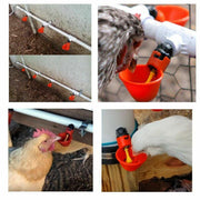 10 Pcs Automatic Poultry Waterer Cups for Chickens & Birds V528-10PCS-AUTOMATIC-P21902