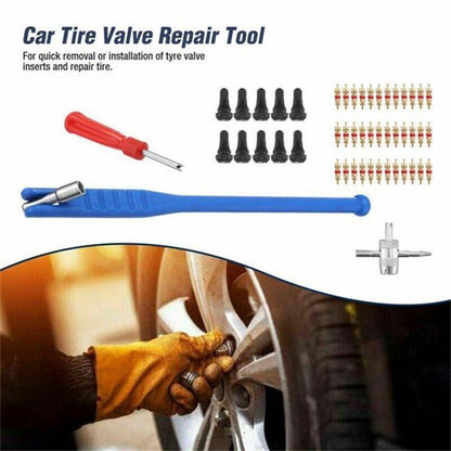 43Pcs Car Tyre Valve Tool Stem Puller Base Quick Remover Tire Repair Installer V528-43PCSVALVETOOL-452291