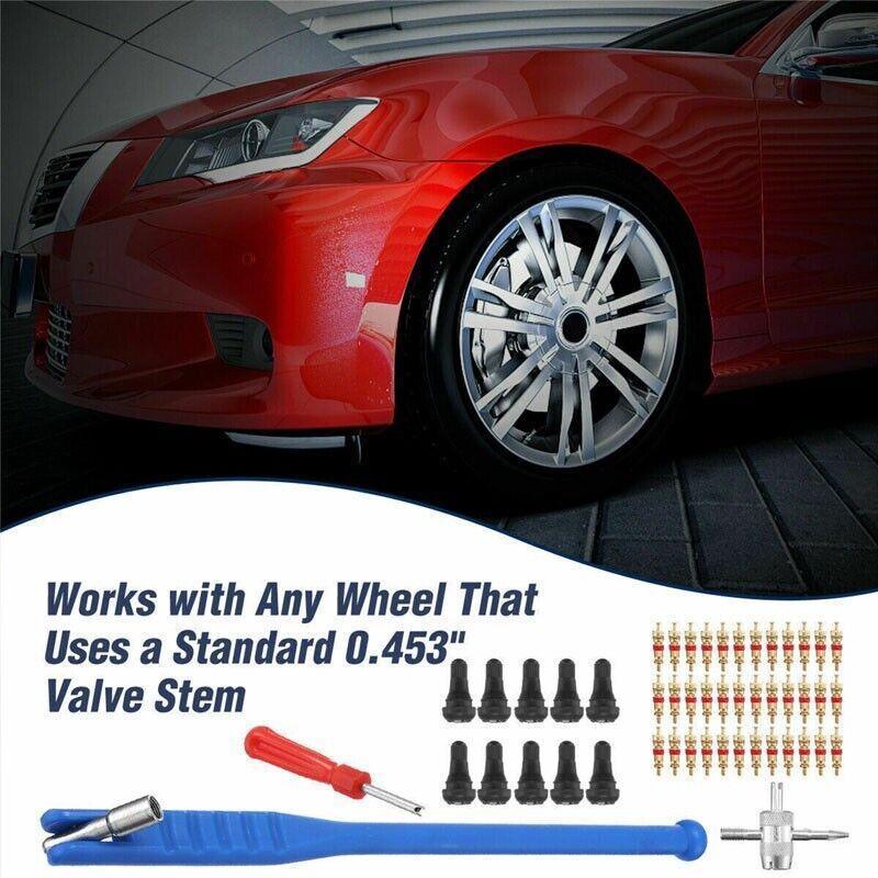 43Pcs Car Tyre Valve Tool Stem Puller Base Quick Remover Tire Repair Installer V528-43PCSVALVETOOL-452291