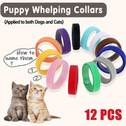 12 Colour Soft ID Collars for Puppies and Kittens Adjustable Pet Identifier Bands V528-54314