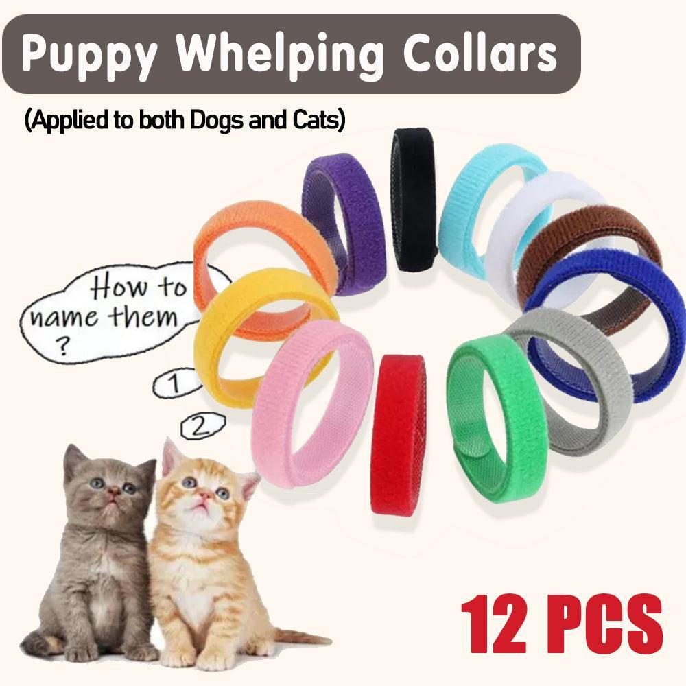 12 Colour Soft ID Collars for Puppies and Kittens Adjustable Pet Identifier Bands V528-54314
