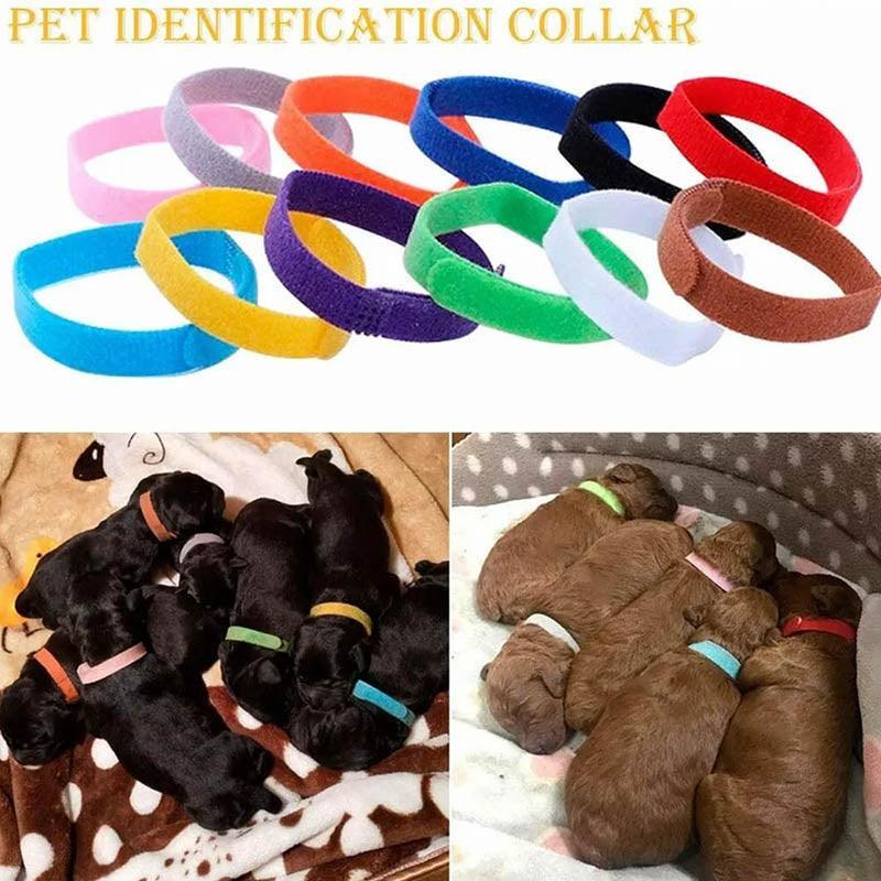 12 Colour Soft ID Collars for Puppies and Kittens Adjustable Pet Identifier Bands V528-54314