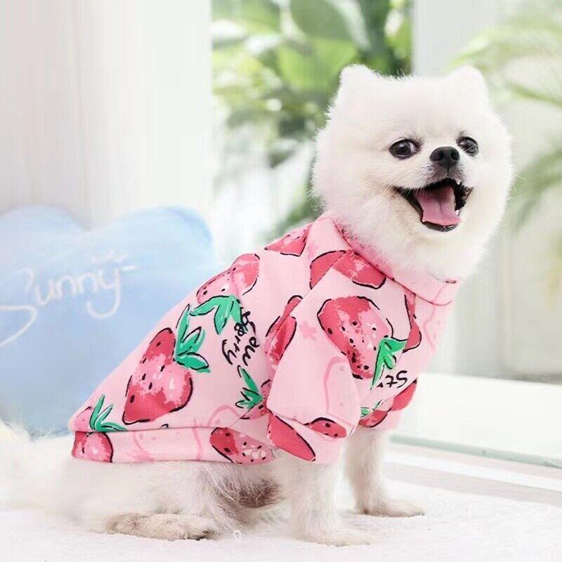 S Size Cute Pet Dog Warm Jumper Sweater Clothes Cat Knitwear Knitted Coats Winter - Green Lemon V528-9360101058593