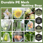 50X Fruit Net Bags Agriculture Garden Vegetable Protection Mesh Insect Proof - 10*15 (50 PCS) V528-9360312031620