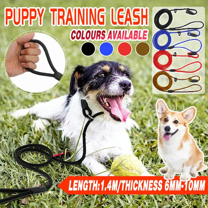 Dog Training Correction Leash Lead Cesar Puppy Pets Millan Slip Nylon Rope 10*140mm - Blue V528-9360312062648