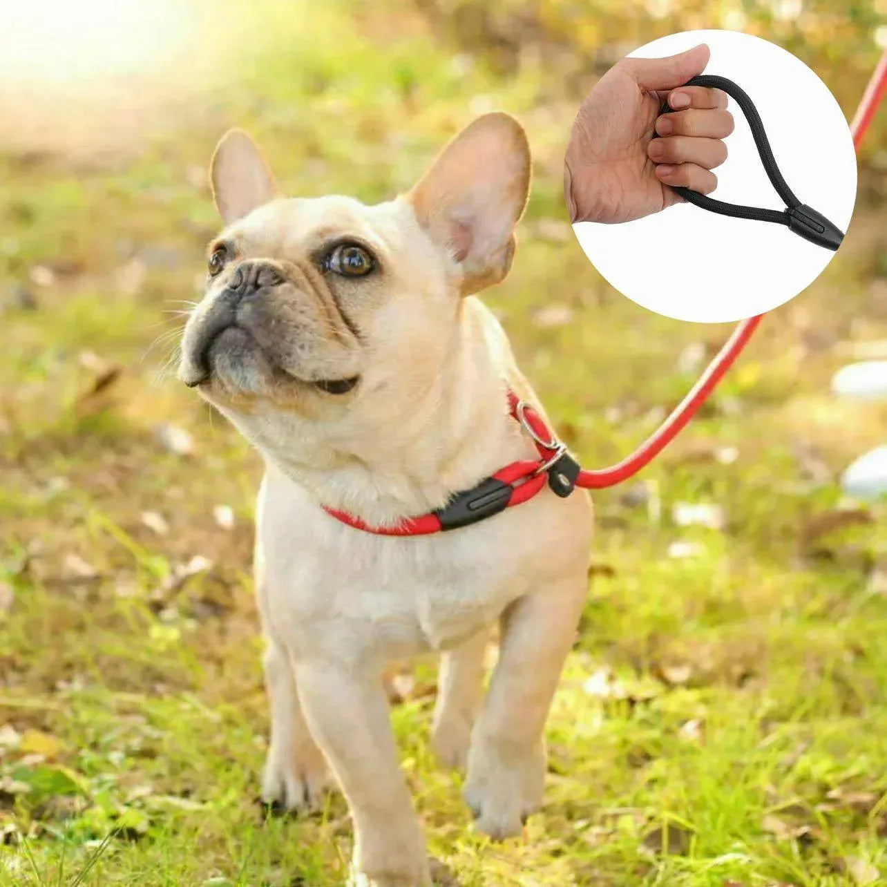 Dog Training Correction Leash Lead Cesar Puppy Pets Millan Slip Nylon Rope 10*140mm - Blue V528-9360312062648