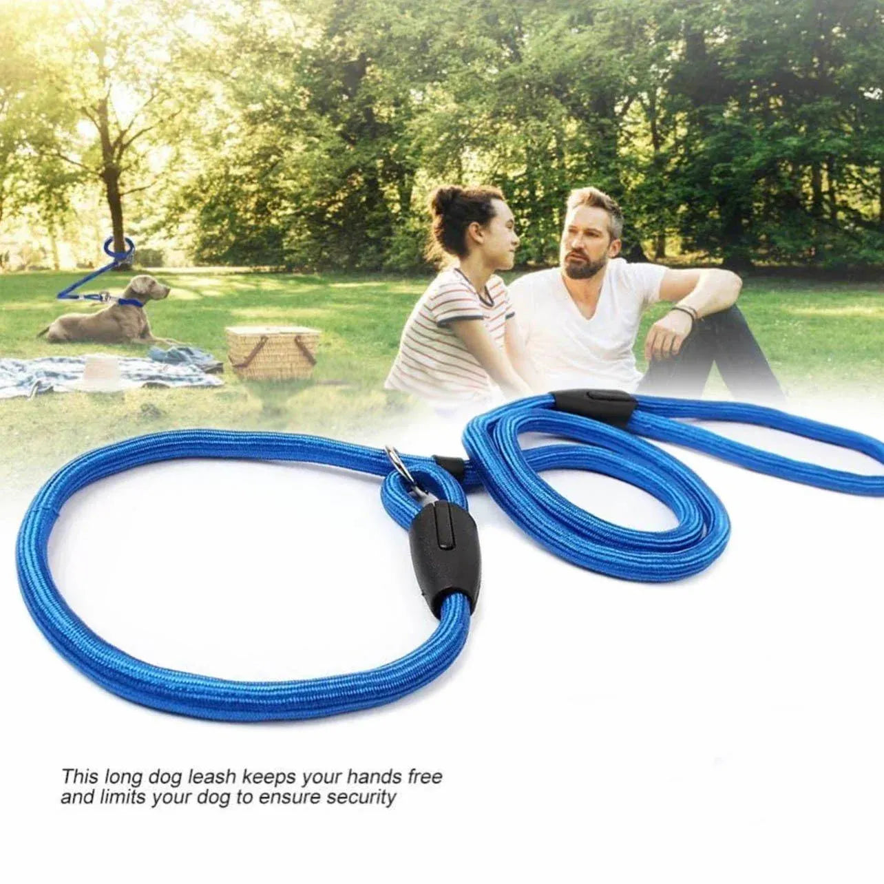Dog Training Correction Leash Lead Cesar Puppy Pets Millan Slip Nylon Rope 10*140mm - Blue V528-9360312062648