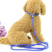 Dog Training Correction Leash Lead Cesar Puppy Pets Millan Slip Nylon Rope 10*140mm - Blue V528-9360312062648