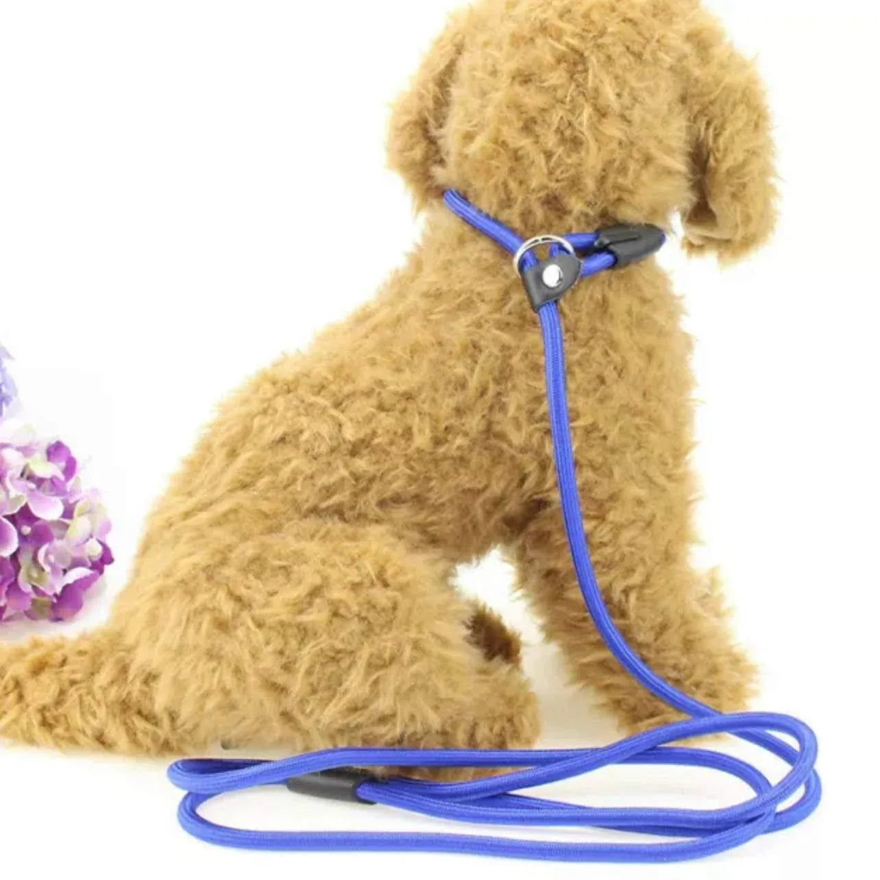 Dog Training Correction Leash Lead Cesar Puppy Pets Millan Slip Nylon Rope 10*140mm - Blue V528-9360312062648
