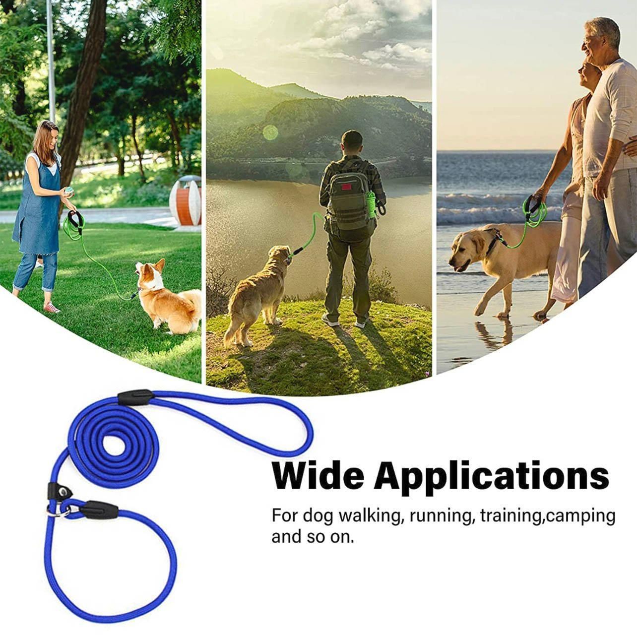 Dog Training Correction Leash Lead Cesar Puppy Pets Millan Slip Nylon Rope 10*140mm - Blue V528-9360312062648