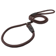 Dog Training Correction Leash Lead Cesar Puppy Pets Millan Slip Nylon Rope 10*140mm - Blue V528-9360312062648