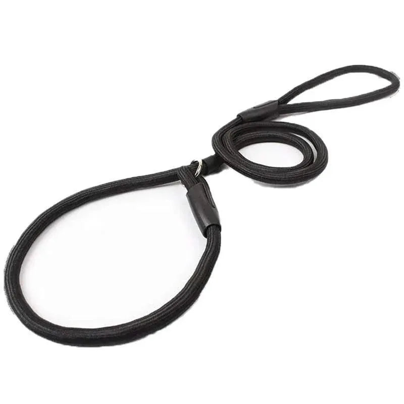 Dog Training Correction Leash Lead Cesar Puppy Pets Millan Slip Nylon Rope 10*140mm - Blue V528-9360312062648