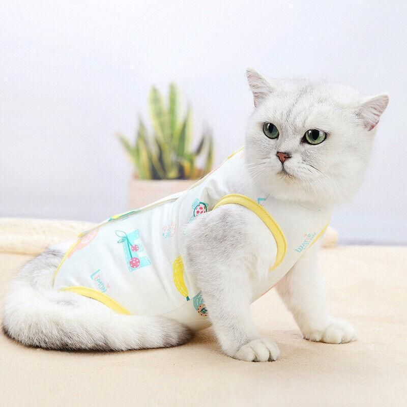 Pet Cat Postoperative Recovery Suit Pet Surgery Clothing Sterilization Weaning Pink - L(Bust: 44cm Length: V528-9360312135809