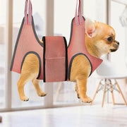 Small Pet Grooming Sling Hammock Dog Cat Restraint Bag Trimming Light Green - S V528-9360312204048