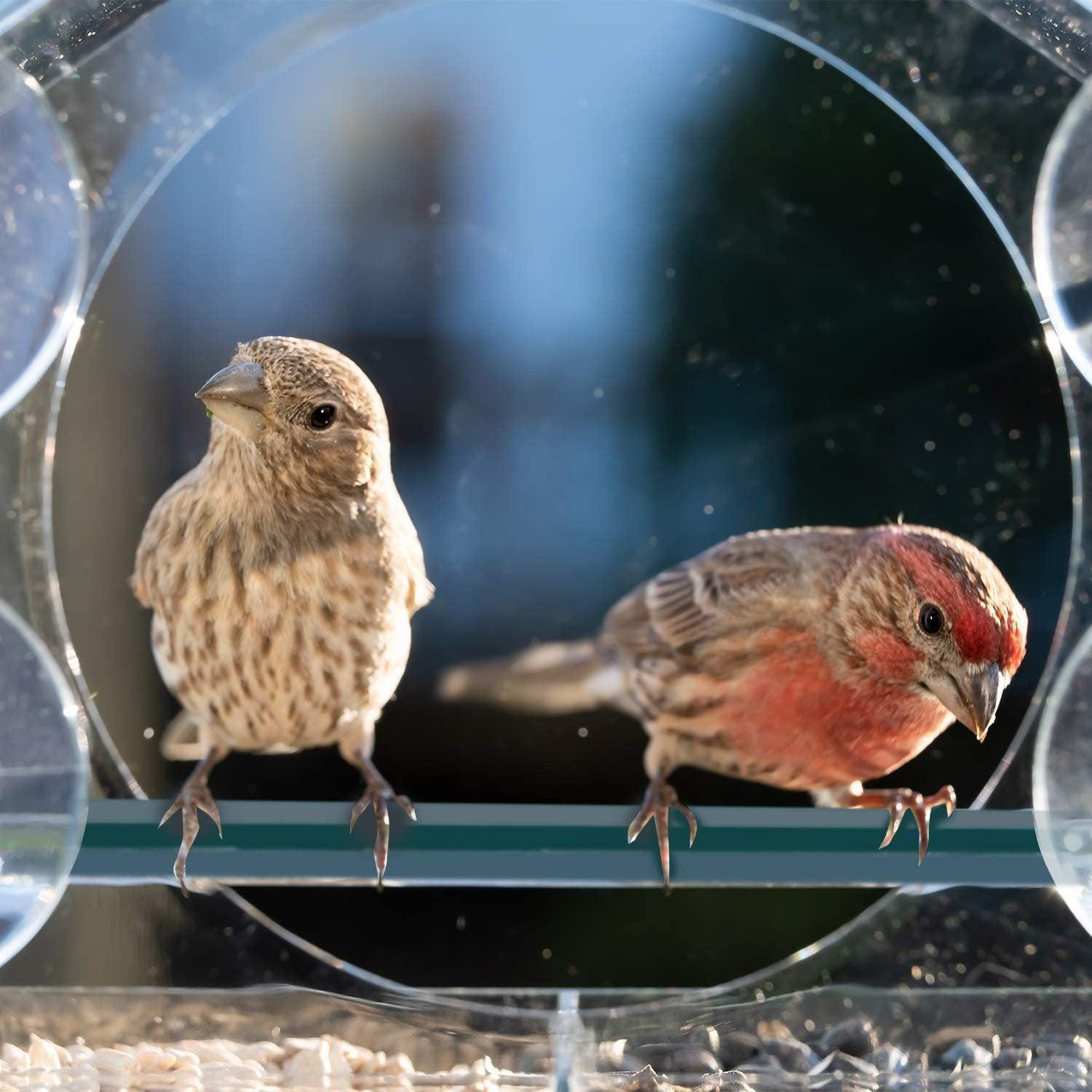 Clear Acrylic Window Bird Feeder with Strong Suction Cups and Removable Seed Tray V528-9360312207025