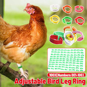Chicken Duck Goose Leg Rings 100pcs Numbered Ankle Bands Bird ID Tags Farm Use - Green V528-ANKLET-100PCS-GREEN-327401