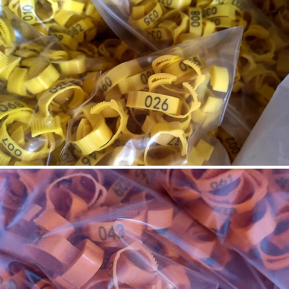 Chicken Duck Goose Leg Rings 100pcs Numbered Ankle Bands Bird ID Tags Farm Use - Green V528-ANKLET-100PCS-GREEN-327401