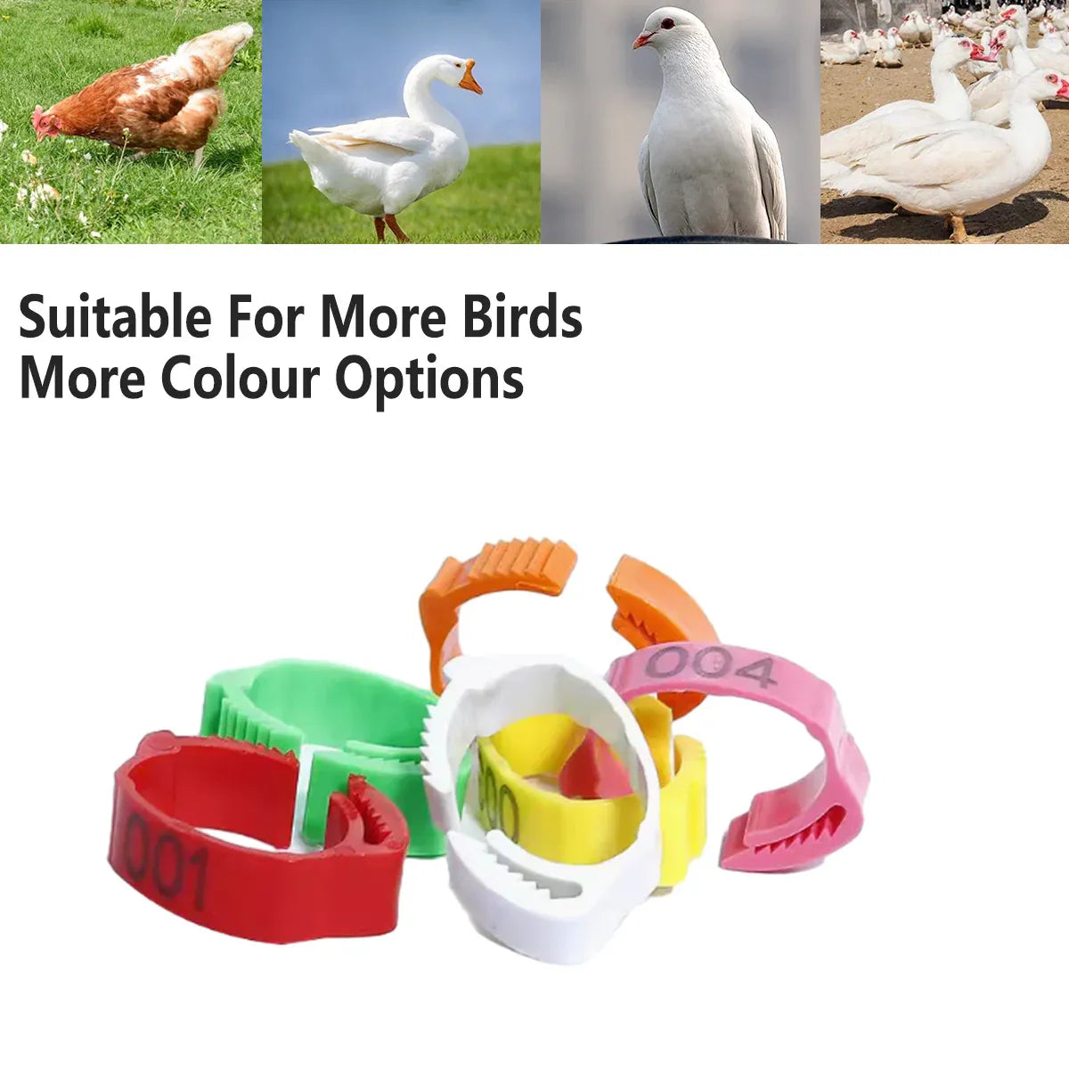 Chicken Duck Goose Leg Rings 100pcs Numbered Ankle Bands Bird ID Tags Farm Use - Green V528-ANKLET-100PCS-GREEN-327401