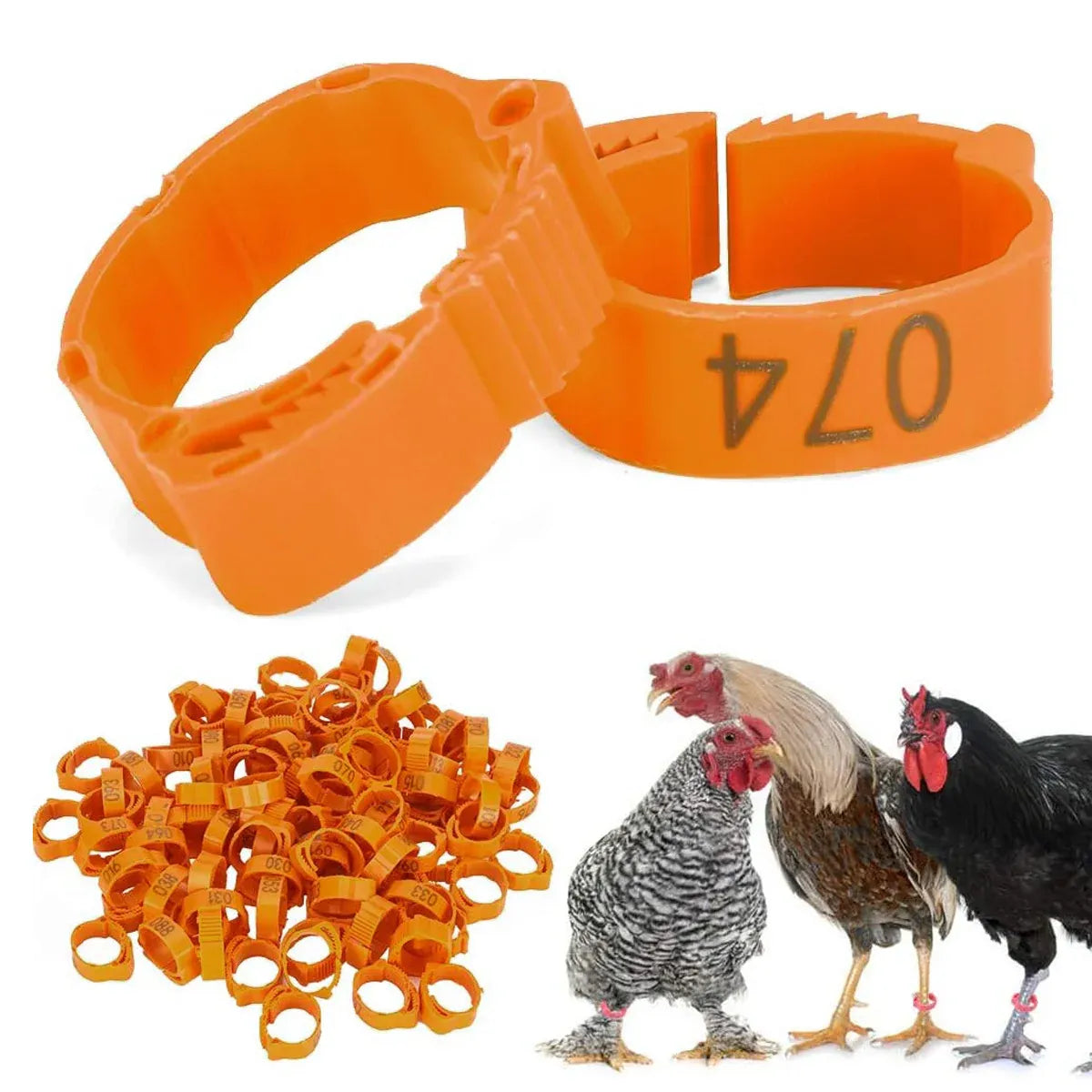 Chicken Duck Goose Leg Rings 100pcs Numbered Ankle Bands Bird ID Tags Farm Use - Green V528-ANKLET-100PCS-GREEN-327401