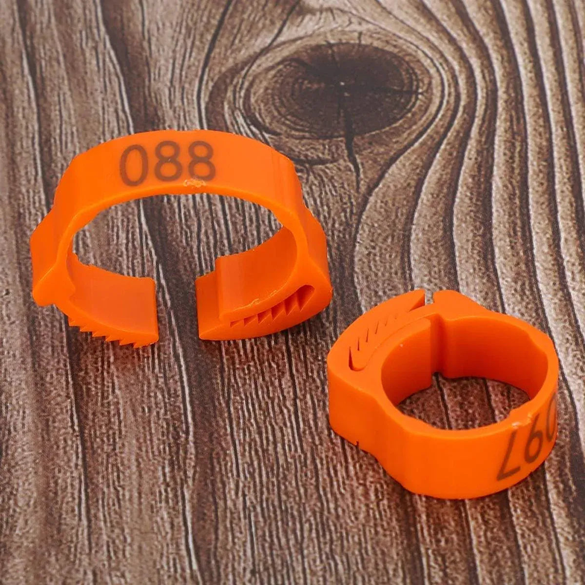 Chicken Duck Goose Leg Rings 100pcs Numbered Ankle Bands Bird ID Tags Farm Use - Green V528-ANKLET-100PCS-GREEN-327401