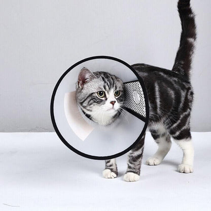 Pet Cat Dog Protective Cone Collar Elizabethan E Collar Wound Healing Recovery - 3 V528-ANTIBITECOLLAR-3-36-42CM-30505