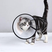Pet Cat Dog Protective Cone Collar Elizabethan E Collar Wound Healing Recovery - 3