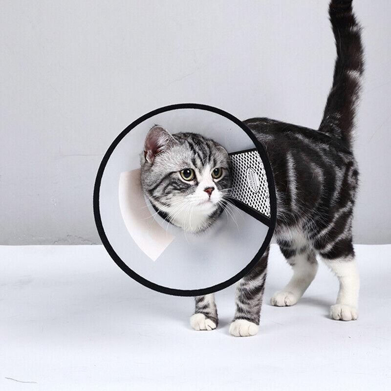 Pet Cat Dog Protective Cone Collar Elizabethan E Collar Wound Healing Recovery - 7