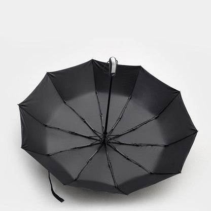 Automatic Umbrella Auto Open Close Compact Folding Anti Rain Windproof 10Ribs Au - Brown V528-AUTOMATICUMBRELLA-KHAKI-198208