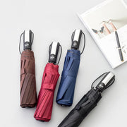 Automatic Umbrella Auto Open Close Compact Folding Anti Rain Windproof 10Ribs Au - Brown V528-AUTOMATICUMBRELLA-KHAKI-198208